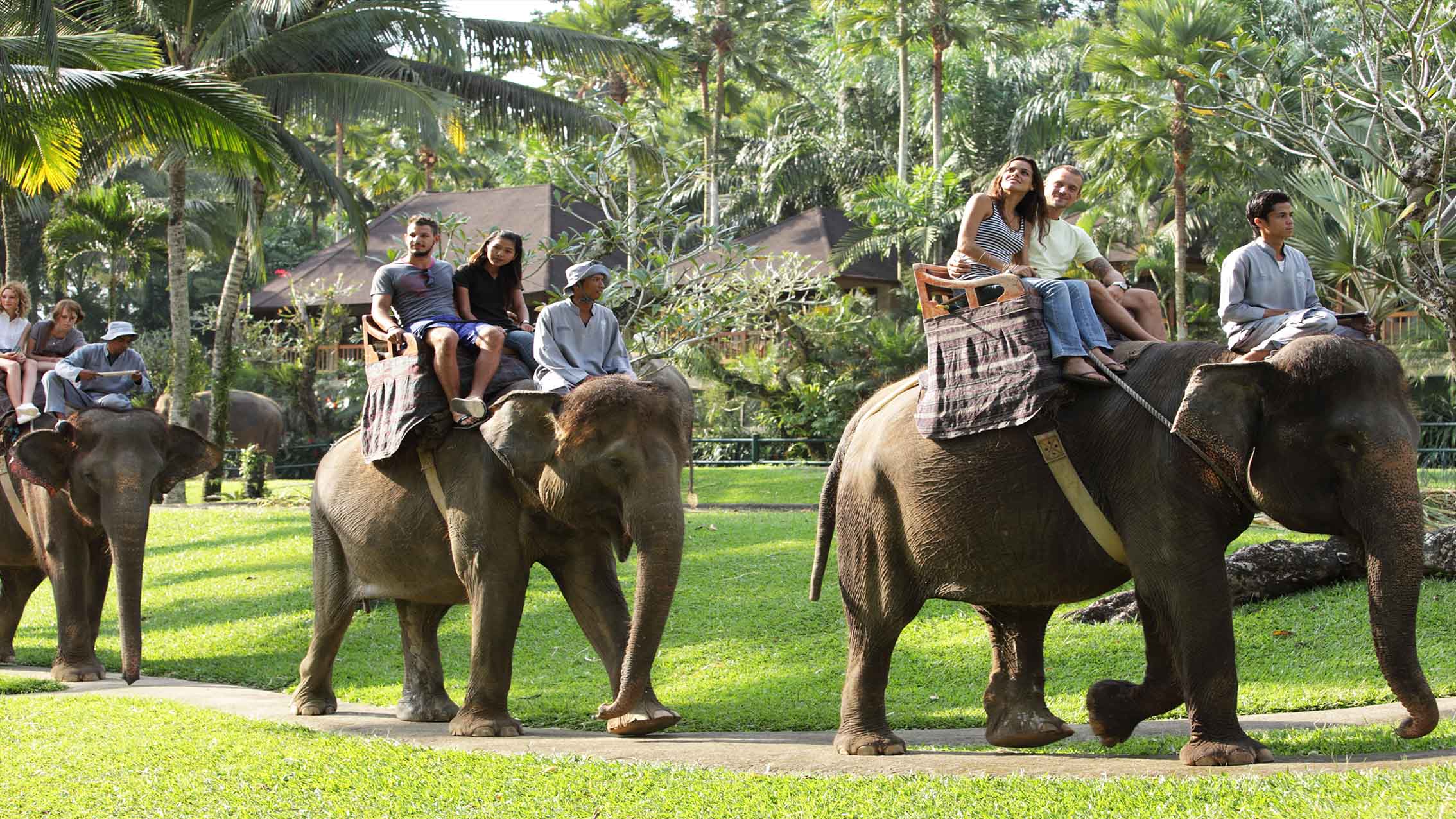Bali’de Yaşam | Elephant Safari Park & Lodge